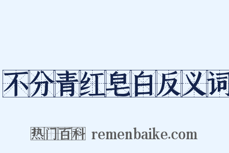 不分青红皂白反义词是什么意思的图片